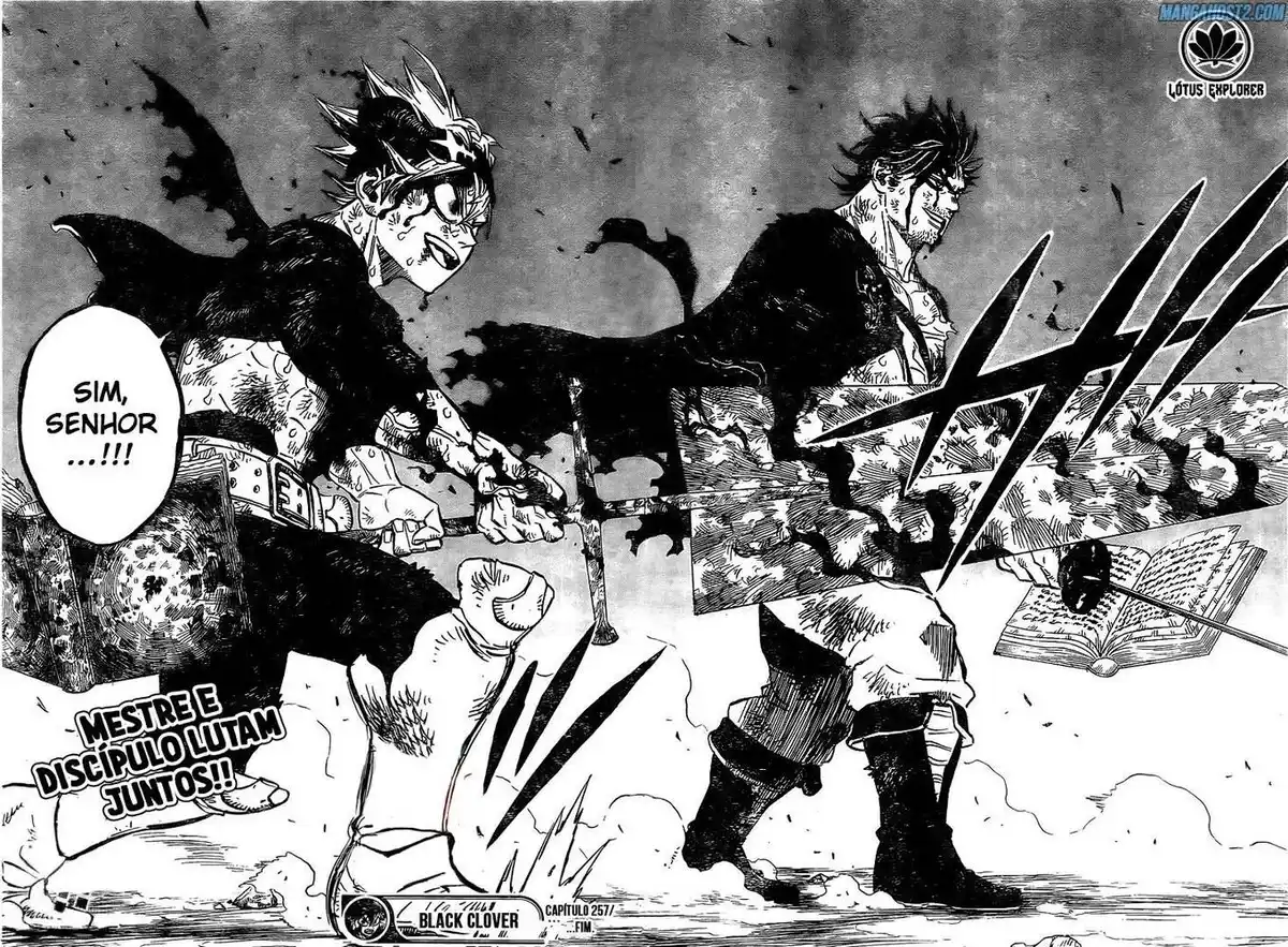 Black Clover 257 página 13