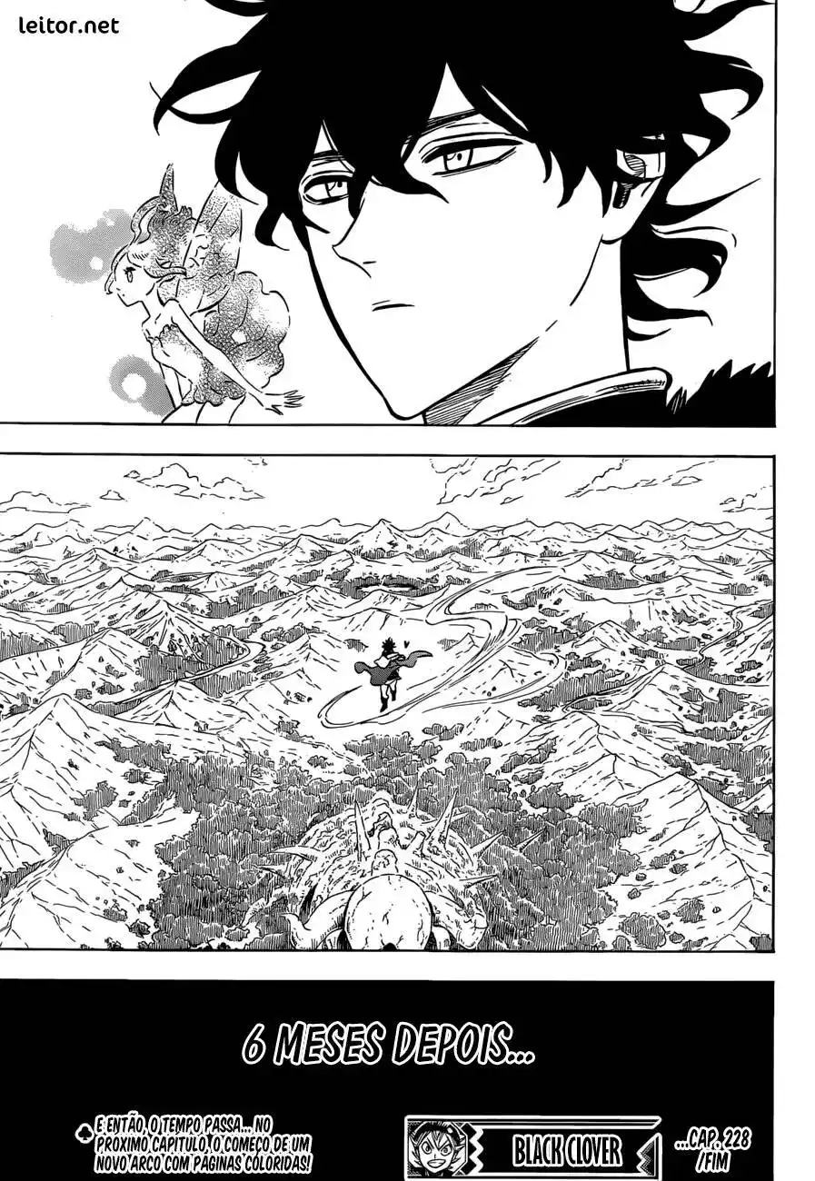 Black Clover 228 página 17