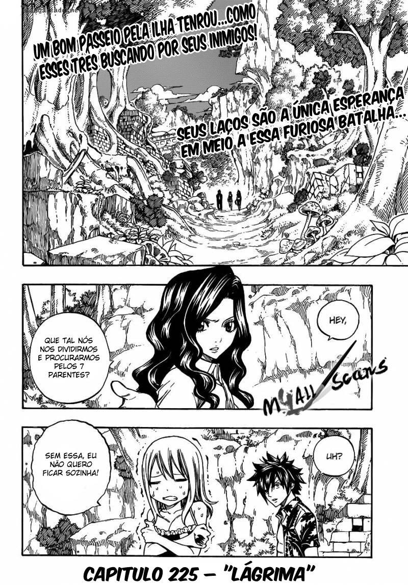 Fairy Tail 225 página 2