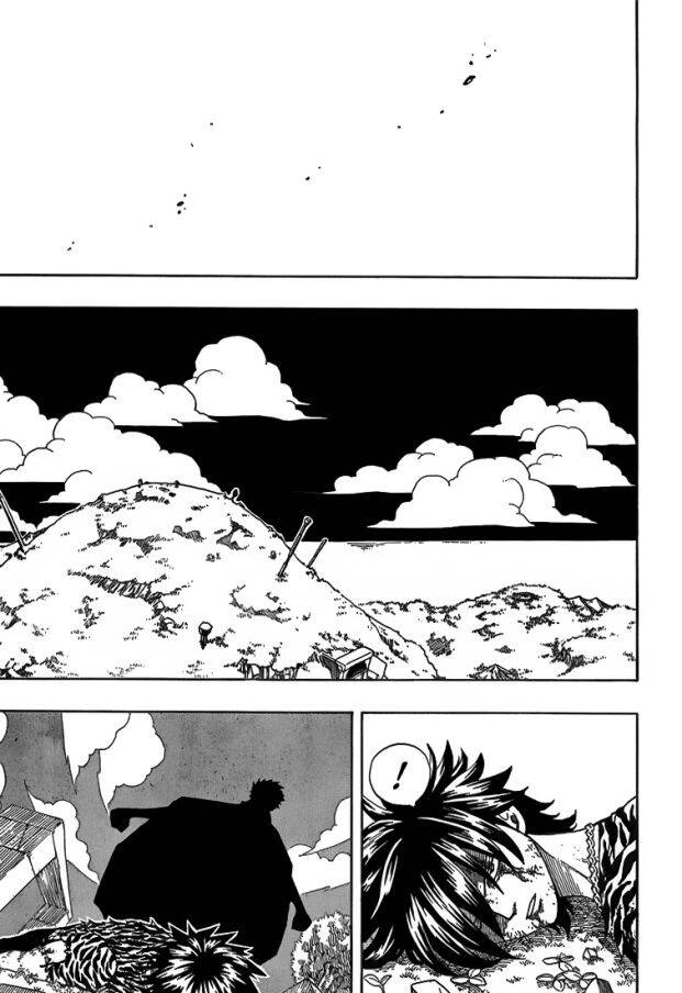 Fairy Tail 30 página 15